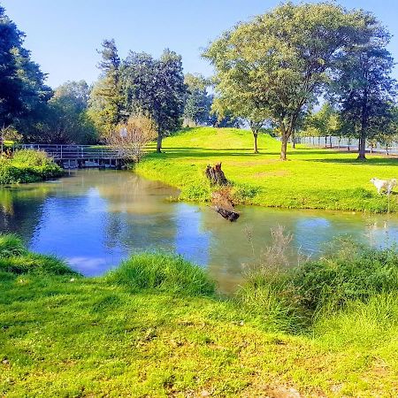 Huge & Private Villa In Kibbutz Дафна Екстериор снимка