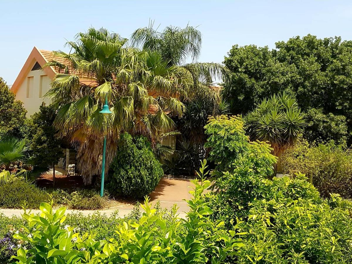 Huge & Private Villa In Kibbutz Дафна Екстериор снимка